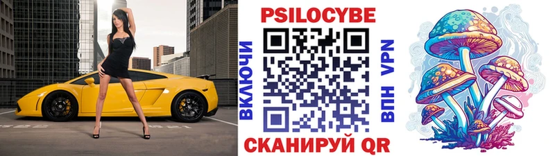 Псилоцибиновые грибы Psilocybine cubensis  Михайлов 