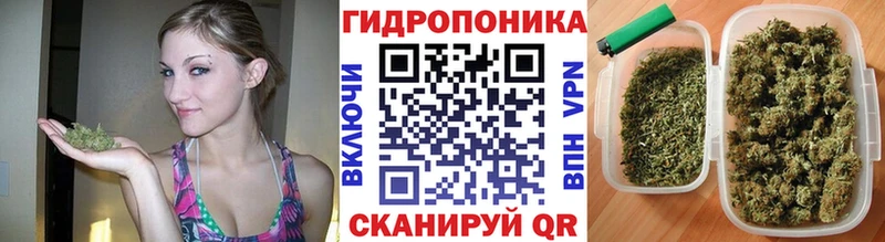 Бошки марихуана THC 21% Михайлов